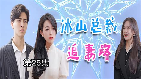 冰山总裁追妻路封面图