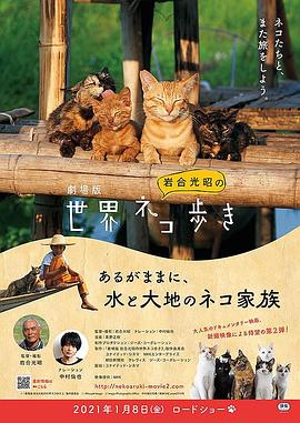 剧场版岩合光昭的猫步走世界