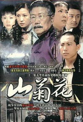 山菊花2007封面图