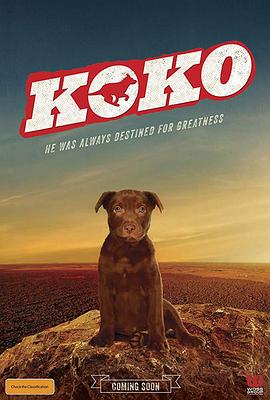 Koko:红犬历险记封面图