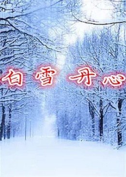 白雪丹心封面图