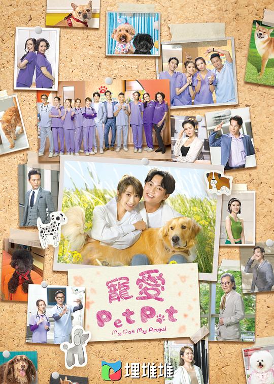 宠爱Pet Pet（粤）封面图