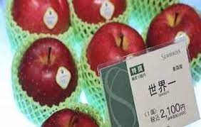 12.13孙3     最贵水果封面图