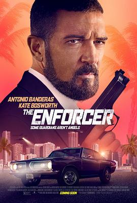 执法者 The Enforcer[电影解说]封面图