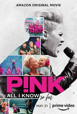 P!NK：我所知道的一切封面图