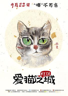 爱猫之城封面图