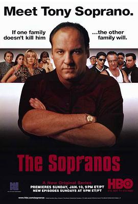 黑道家族 第一季 The Sopranos Season 1[电影解说]封面图